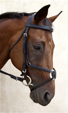 Nunn Finer Fair Hill Figure 8 Bridle