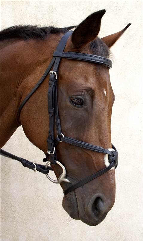 Nunn Finer Fair Hill Figure 8 Bridle