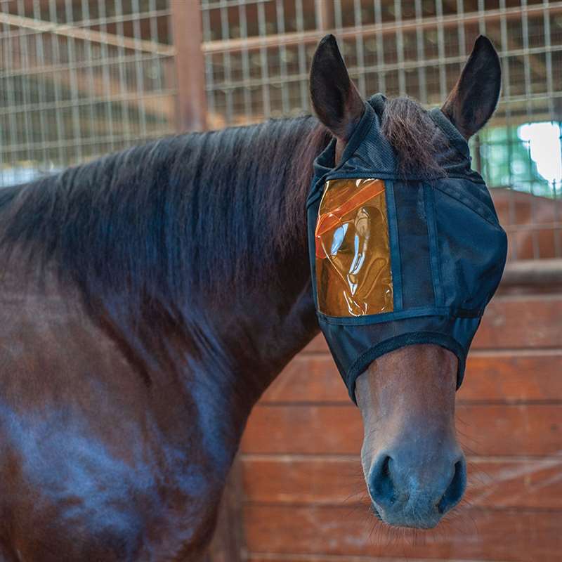 Classic Equine Restoration Equine Mask with Left Patch