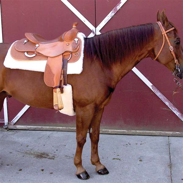 CoolBack Cinch Cover