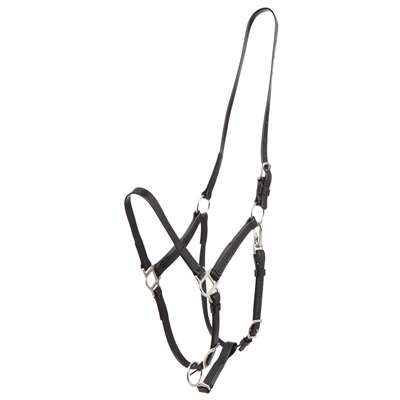 Zilco Deluxe Endurance Bridle - Halter Only