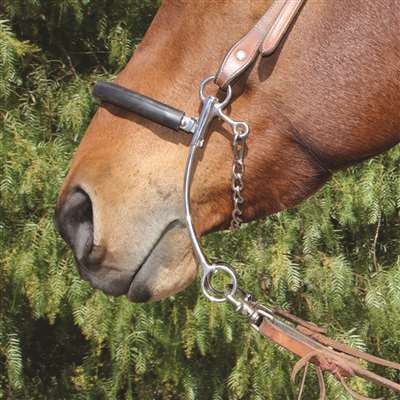 Brittany Pozzi Hackamore with Rubber Noseband