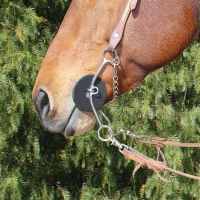 Brittany Pozzi Collection Lifter Series, Twisted Wire Snaffle