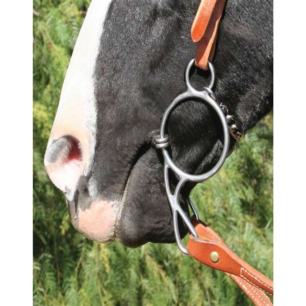 Professional's Choice Equisential Wonder Snaffle