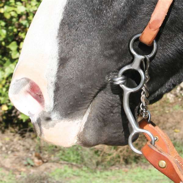 Professional's Choice Equisential Perform Long Snaffle
