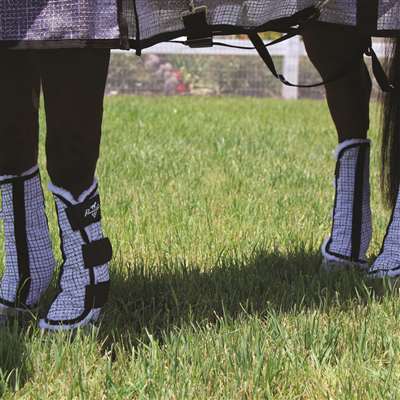 Professional's Choice VPacific Bluek Fly Boots