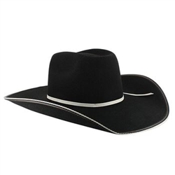 Resistol Cowboy Hat Wool Snake Eyes