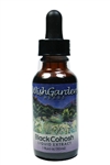 Black Cohosh by Wishgarden