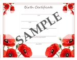 Homebirth Birth Certificate