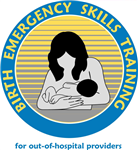 BEST - Birth Emergency Skills Training Kit by Andrea Dixon