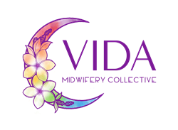 Vida Midwifery Collective Custom Birth Kit