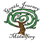 Gentle Journey Midwifery Custom Birth Kit