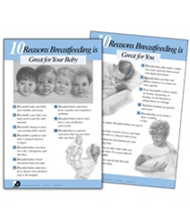 Great Reasons to Breastfeed Chart Set (2)