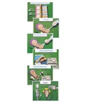 Labor and Birth intervention Charts - 6