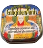 Enlighten Mints