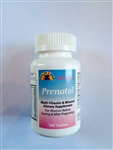 Health Star Prenatal Multi-Vitamin and Minerals Supplement - Bottle of 100