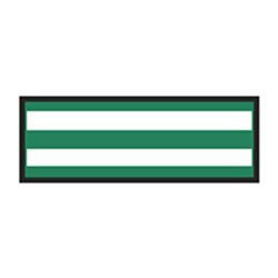 Identification Sheet Tape - Kelly green white  1 4