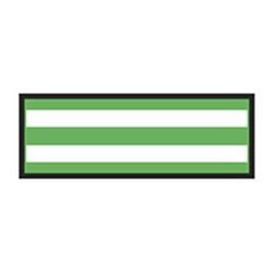 Identification Sheet Tape - Lime white stripe  1 4