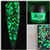 Glamour AB Acrylic Glitter (Glow in the Dark) 1 oz # 2