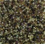 Miyuki 11/0 Seed Bead Mix 24 Grams Wheatberry