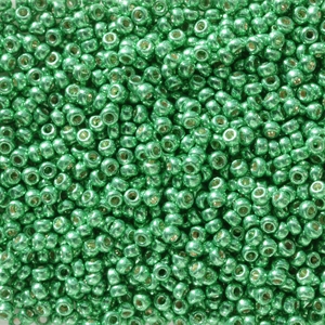 11/0 11RR5105 - Duracoat Galvanized Dark Mint Green Miyuki 11/0 Rocailles - 10 Grams