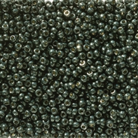 11/0 11RR5107 - Duracoat Galvanized Black Moss Miyuki 11/0 Rocailles - 10 Grams