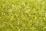 Miyuki Square 4MM Beads 4SB6 TSL Yellow