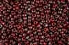 6RR4513 Picasso MA Red Garnet 10 Grams Miyuki Seed Beads