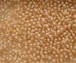 Round Beads 3mm: CZRD3-14413  - Luster - Transparent Champaign - 25 pieces