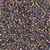 Miyuki Delica Seed Beads 1g 11/0 DB0541 MR Dark Iris Gold Plated