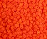 Neonï¿½SuperDuo 2.5/5mm : 8 Grams - NSD-BNOR - Neon Orange