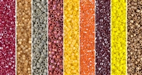 November Monday - Exclusive Mix of Miyuki Delica Seed Beads