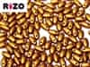 Rizo 2.5/6mm : RPB-RIZO-01740 - Brass Gold - 8 grams