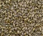 Coral Amber Czech Rizo Seed  Beads - 8 Grams