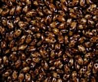 Coral Dark Travertin Czech Rizo Seed Beads - 8 Grams