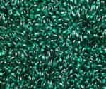 Emerald Czech Rizo Seed  Beads - 8 Grams