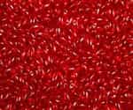 Red Czech Rizo Seed  Beads - 8 Grams