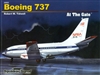 At the Gate: Boeing 737