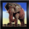 African Elephant - From Endangered Species