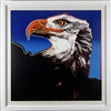 Bald Eagle - From Endangered Species