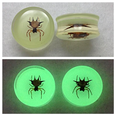 UV Stable Acrylic Glow in the Dark Spider Plugs