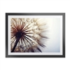 Woodspring Artwork with Fornari Black Frame  I Artwork