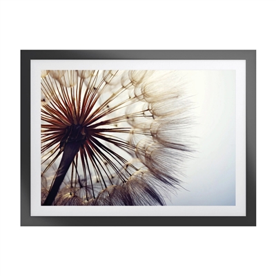 Woodspring Artwork with Fornari Black Frame  I Artwork