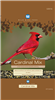 BLUE SEAL BIRDER`S SECRET CARDINAL MIX 8LB