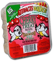 C AND S PRODUCTS SUET DOUGH CHERRY TREAT 11.75OZ