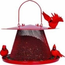 Perky-Pet C00322 "NO-NO" Red Cardinal Bird Feeder