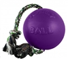 ROMP N ROLL BALL 6IN PURPLE