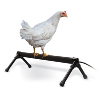 Thermo-Chicken Heated Perch 26 inch