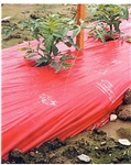 KEN-BAR SRM RED TOMATO MULCH 4FTX100FT