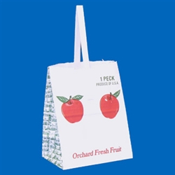 PAPER APPLE BAG 1 PECK CASE OF 500